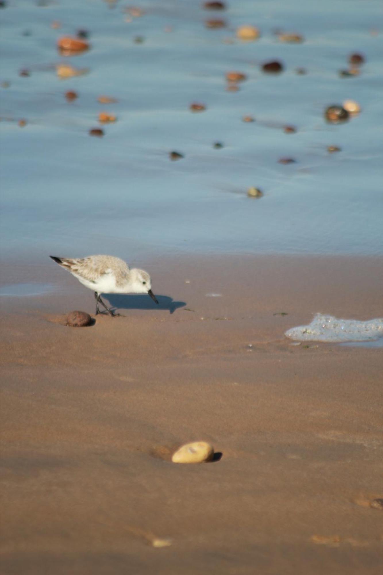 La Maison Des Vagues Sidi Kaouki Bagian luar foto