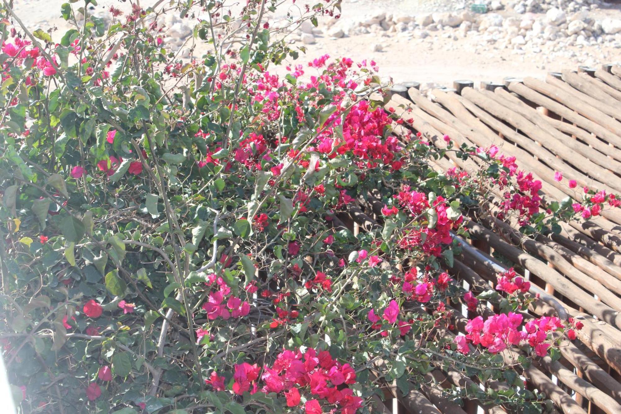 La Maison Des Vagues Sidi Kaouki Bagian luar foto